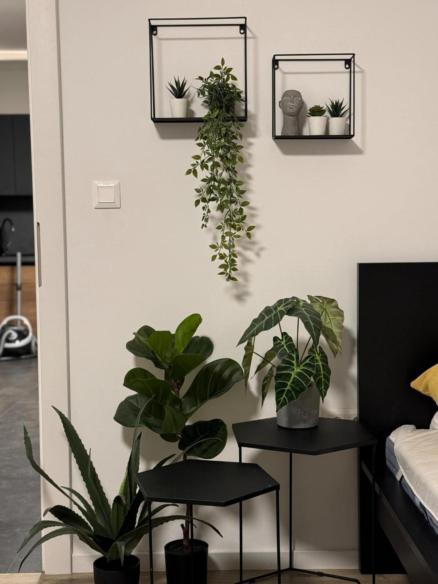 Apartmany Elli Mýto pod Ďumbierom 外观 照片