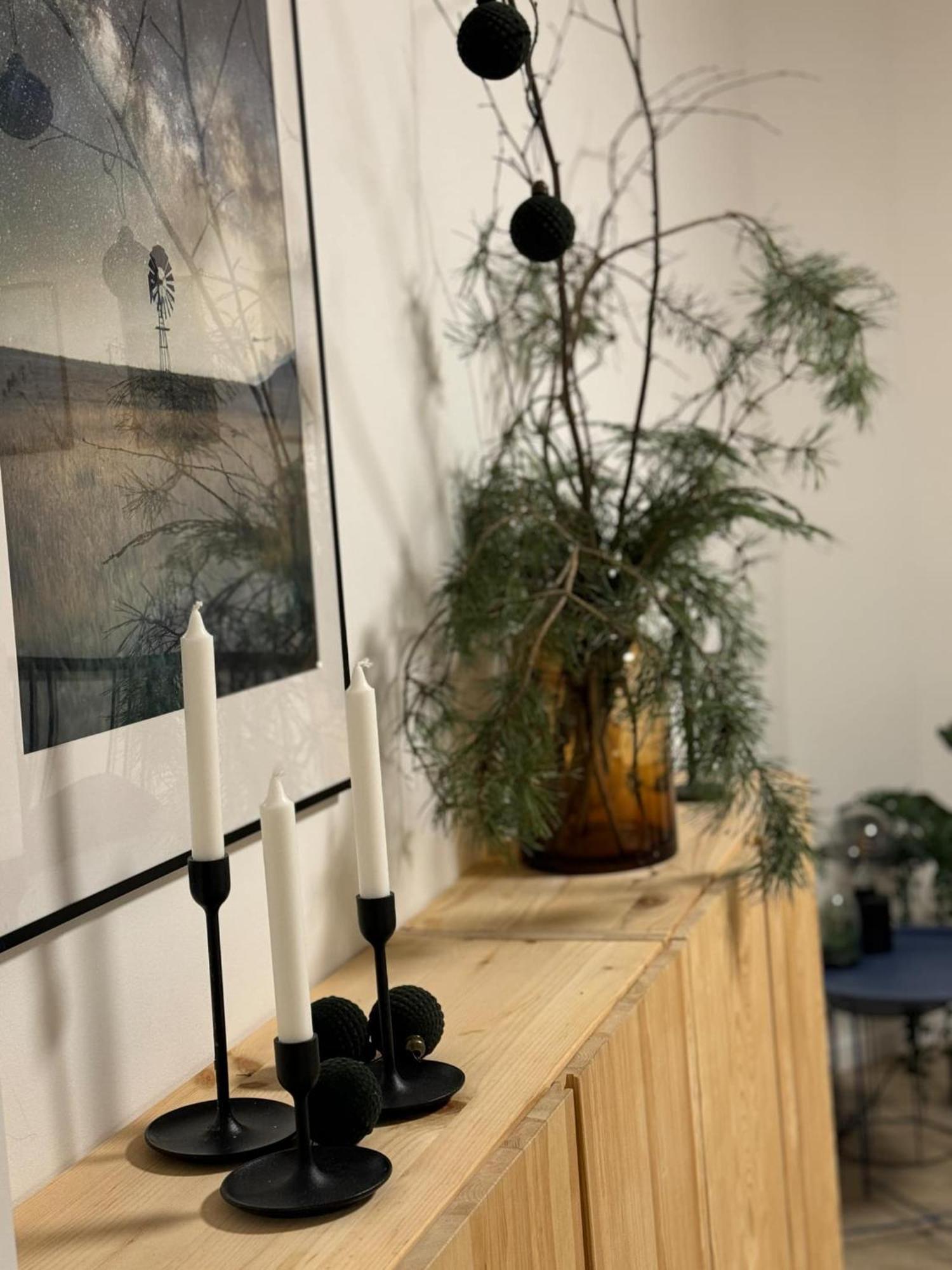 Apartmany Elli Mýto pod Ďumbierom 外观 照片